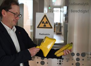 Thünen-Wissenchaftler Marc-Oliver Aust misst mit einem Geigerzähler die Radioaktivität von Bananen.
