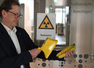 Thünen-Wissenchaftler Marc-Oliver Aust misst mit einem Geigerzähler die Radioaktivität von Bananen.