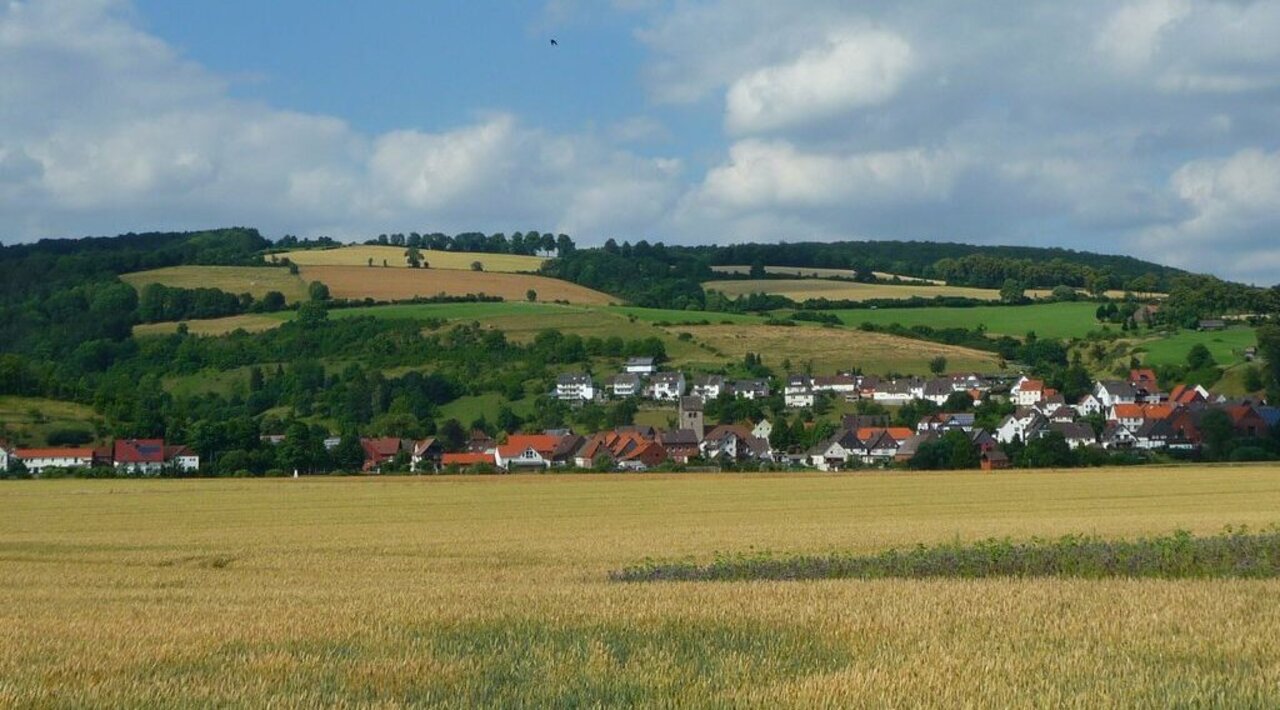 Arable land and grassland