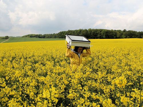 Measurements of greenhouse gas emissions with a static soil chamber in a blooming rape seed field, Reiffenhausen