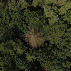 Berichterstattung zur NEC-Richtlinie