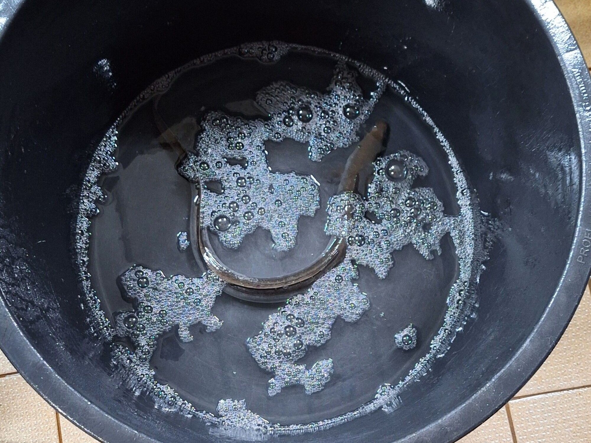 Der Aal in einem Eimer mit Seewasser, bevor er zurück ins Meer gelassen wird.