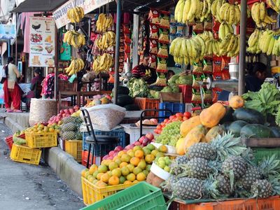 Ein Einkaufsstand in Nepal, im Vordergrund viel Obst und Gemüse, allerdings auch Erfrischungen und Chips