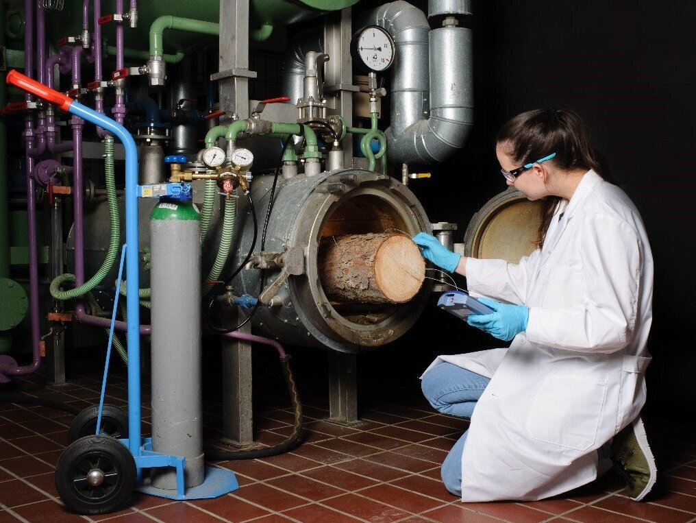 Klimaneutrale Begasung Wissenschaftlerin fügt einen Holzstamm in ein Gerät