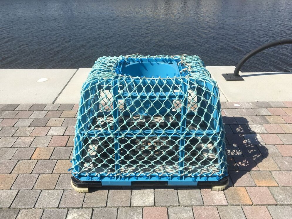  Pot (trap) used to target brown crabs (Cancer pagurus).