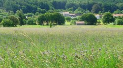 Wirkung Ökologischer Vorrangflächen zur Erreichung der Biodiversitätsziele in Ackerlandschaften (OEVForsch2)