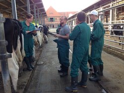 Wie sich Tiergerechtheit messen lässt