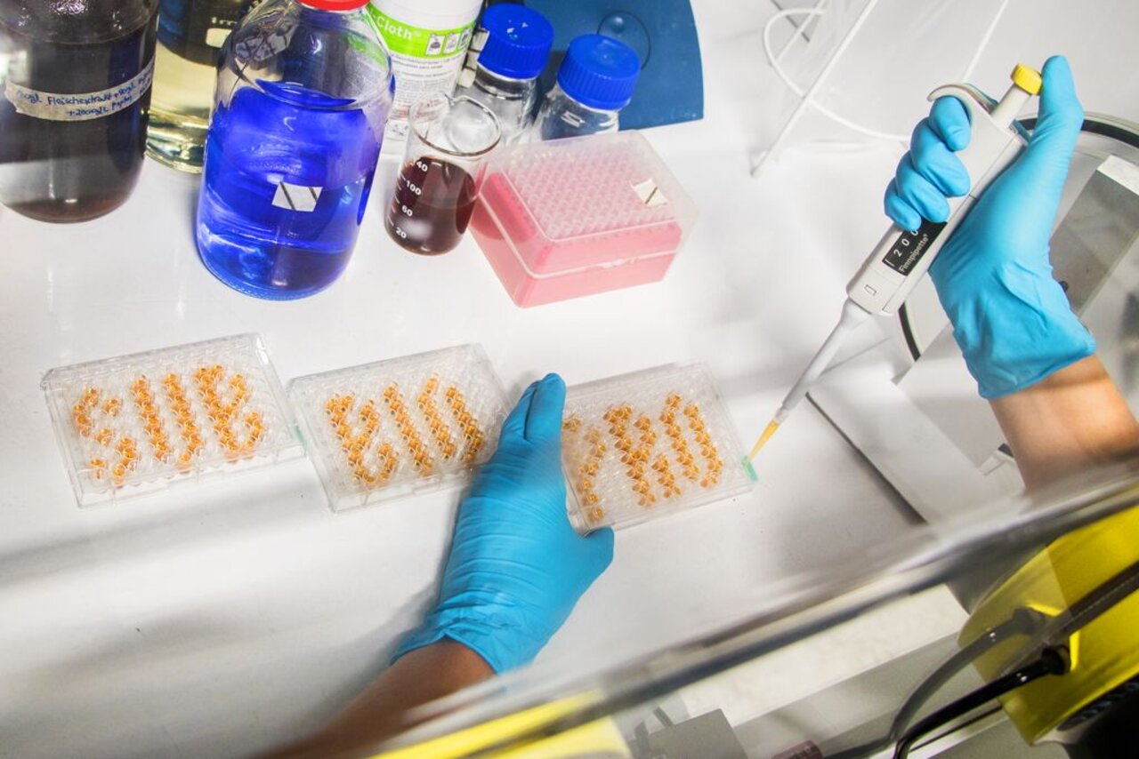 Substitution von Hefeextrat