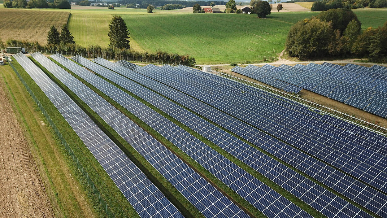 Eine Freifläche mit PV-Anlagen in langen Reihen, die dicht an dicht stehen.