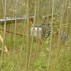 BEST - Bioenergieregionen stärken