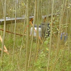 BEST - Strengthening bioenergy regions