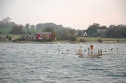 Bycatch and other side effects