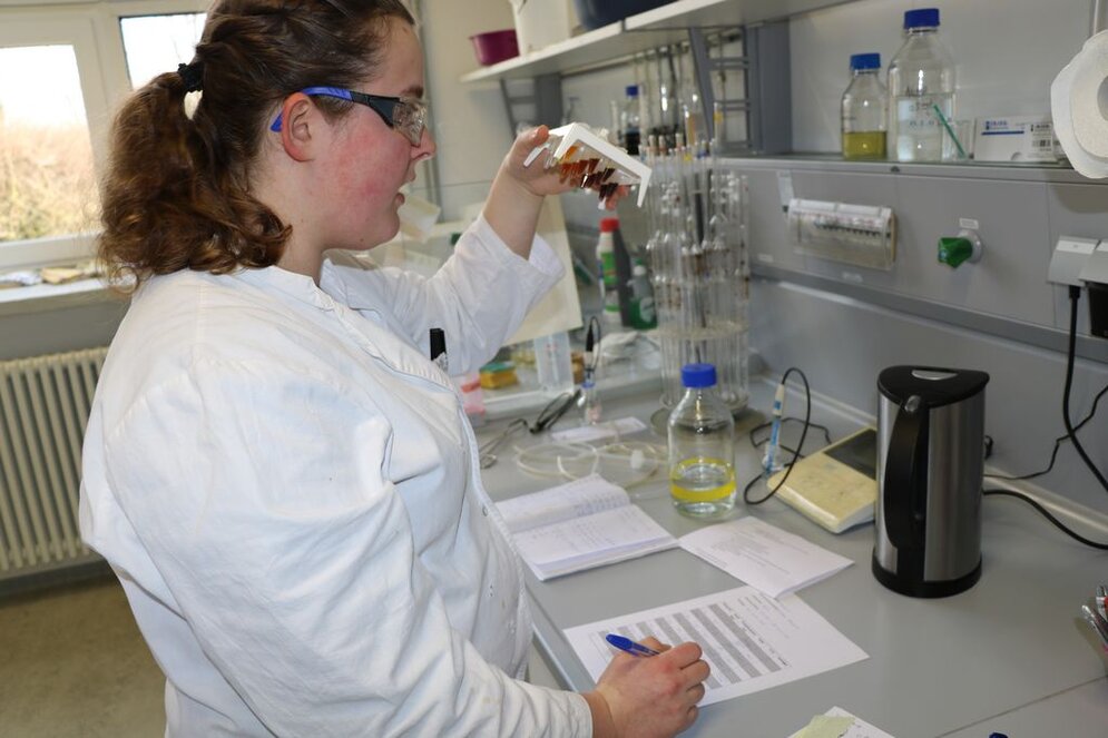 Präparative Chemie Auswertung der Proben Präparative Chemie Auswertung der Proben