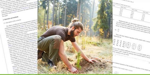 A man plants a tree in a clearing.