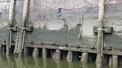 Non-destructive assessment of wooden components in an underwater area as a technical service