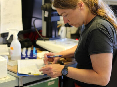 Die Fotos der Eier werden mit den genetischen Befunden protokolliert.