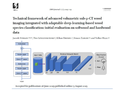 New publication on the use of volumetric sub-µCT and nano-CT data in combination with artificial intelligence for wood species identification