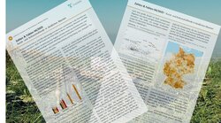 Zahlen & Fakten 04/2025