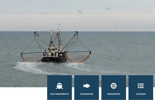 Das Bild ist ein Ausschnitt der Titelseite des Portals Fischbestände online. Es zeigt einen Krabbenkutter in der Nordsee.