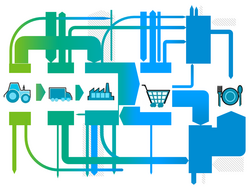 Lebensmittelabfälle belasten die Umwelt