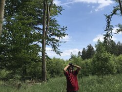 Forests in (climate) change: In worse condition despite a wet winter