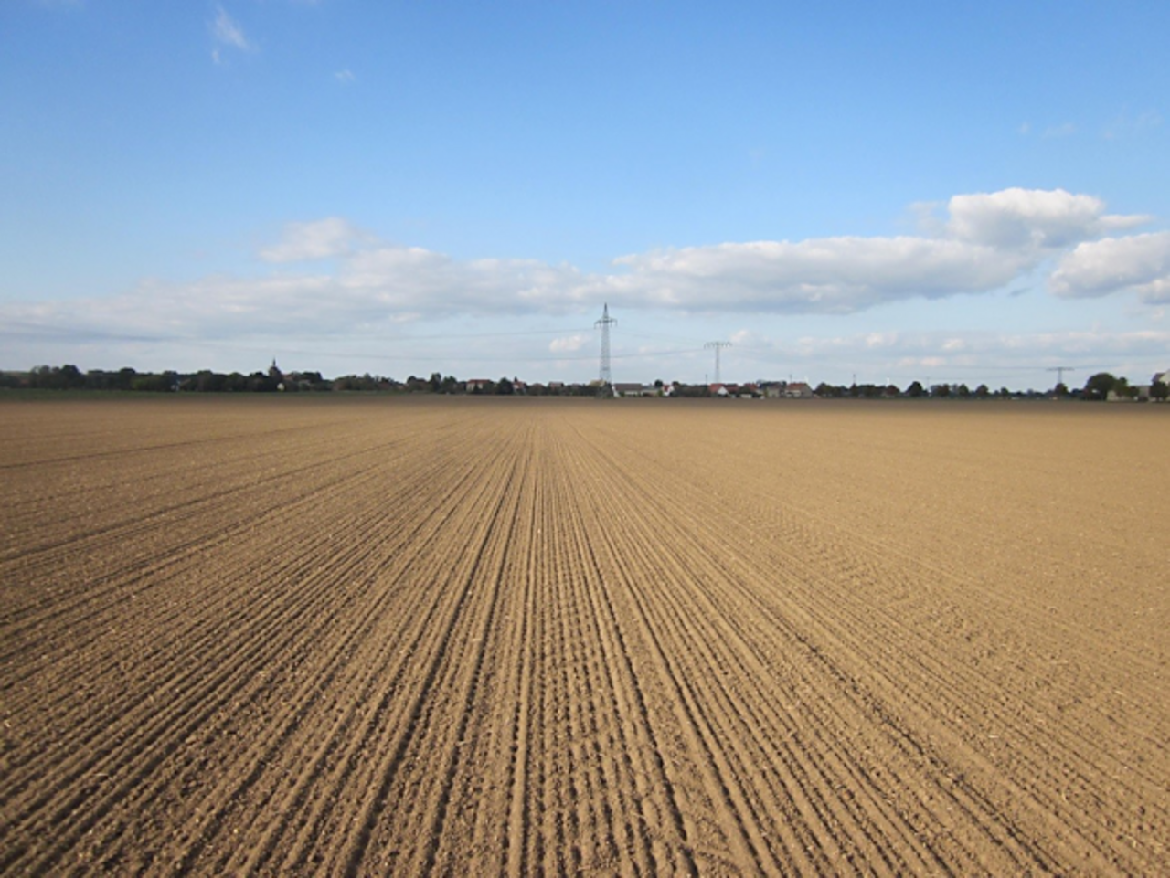 Intensive arable agriculture with large fields – are they sustainable and climate smart?