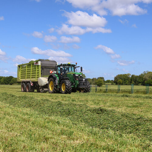 Foto eines Traktors mit Anhänger auf Grünland. Auf dem Boden Grünschnitt.