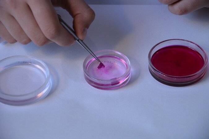 Klicken für eine Vergrösserung