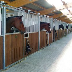 Kick resistance of horse stable infill planks
