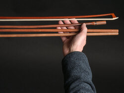 Der Artenschutz gibt den Ton an