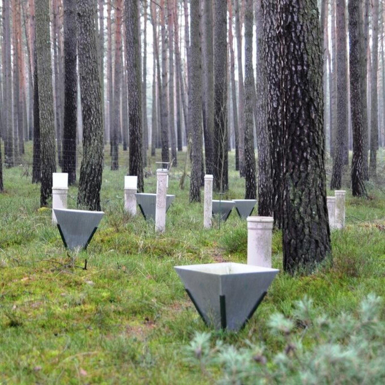 Intensive monitoring plot with rain and deposition collectors