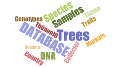 Development of scientific databases