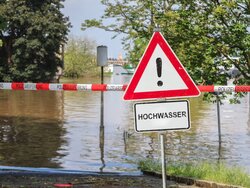 ElbeXtreme-Fish - Impact of extreme weather events on fish in the Elbe estuary