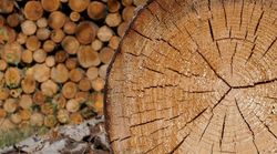 Charta für Holz 2.0