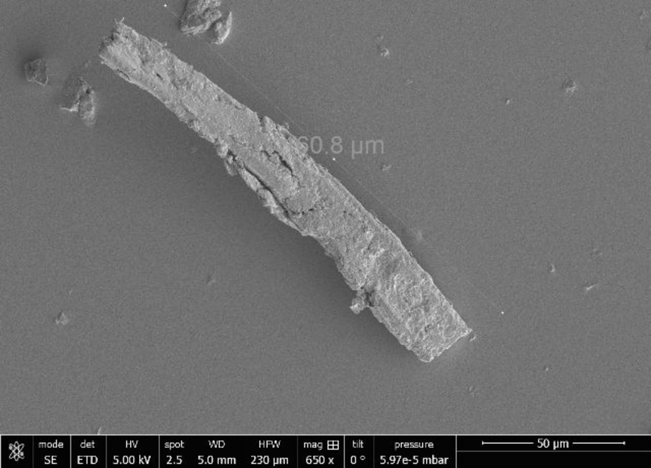Electron micrograph of an airborne particle