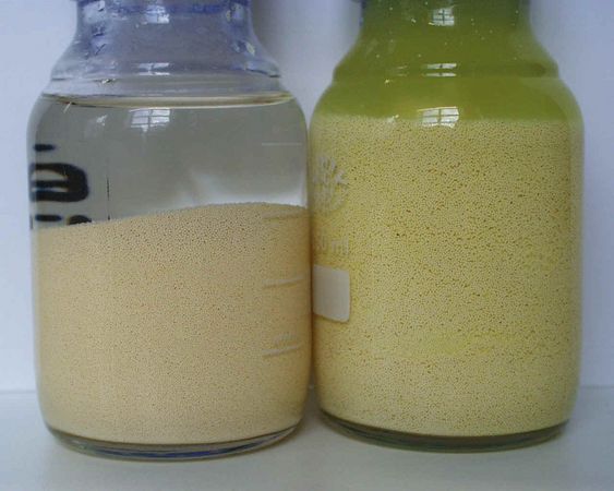 Encapsulation of folic acid, left suited matrix, right unsuited matrix