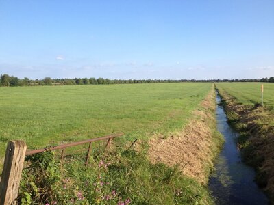 Entwässertes Moor in landwirtschaftlicher Nutzung und Entwässerungsgraben, blauer Himmel, Baumreihen im Hintergrund