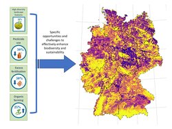 Archetypen agrarischer Landsysteme zur wirksamen Lenkung von Politikmaßnahmen (ARC-SPOT)