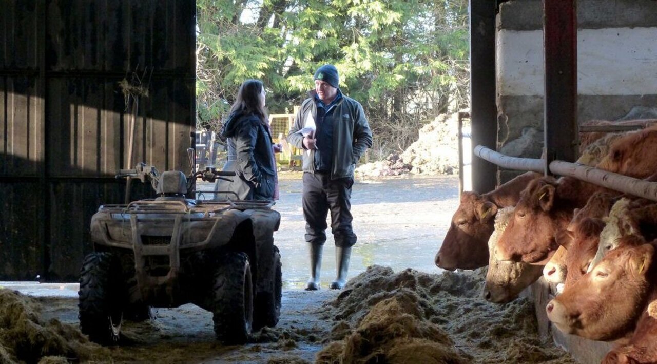 Cowshed with technology and farmer