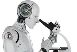 Automated image recognition for wood species identification