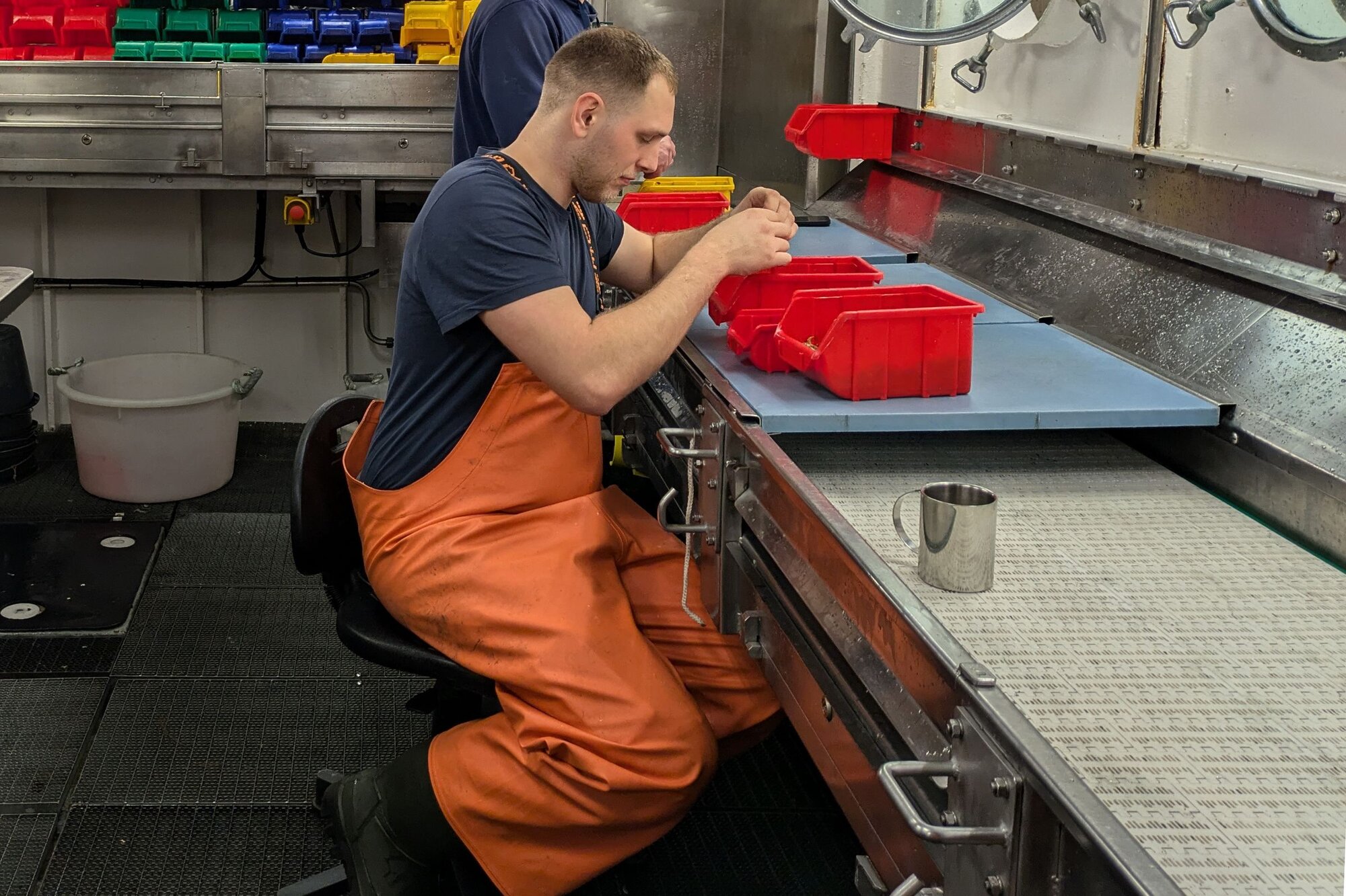 Tim übt sich auch im Krabbenpulen. Eine Person sitzt im Labor vor einigen Sortierkisten.
