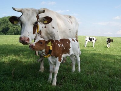 [Translate to English:] 