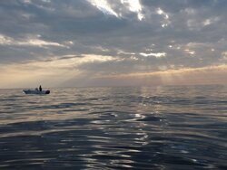 Meeresangelfischerei: Wo ist der Haken?