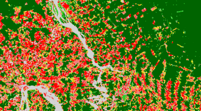 Eine Wald und Baumbedeckungskarte mit verschieden eingefärbten Bereichen.