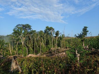 Entwaldung in der Region Nord-Luzon, Philippinen
