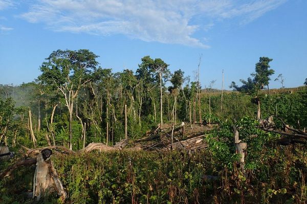 Deforestation in Nord-Luzon, Philippines