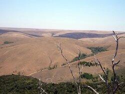 REDD am Beispiel Madagaskars: ein Programm für Tropenwälder