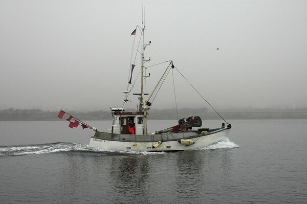 Ein kleiner Stellnetzkutter fährt vorbei