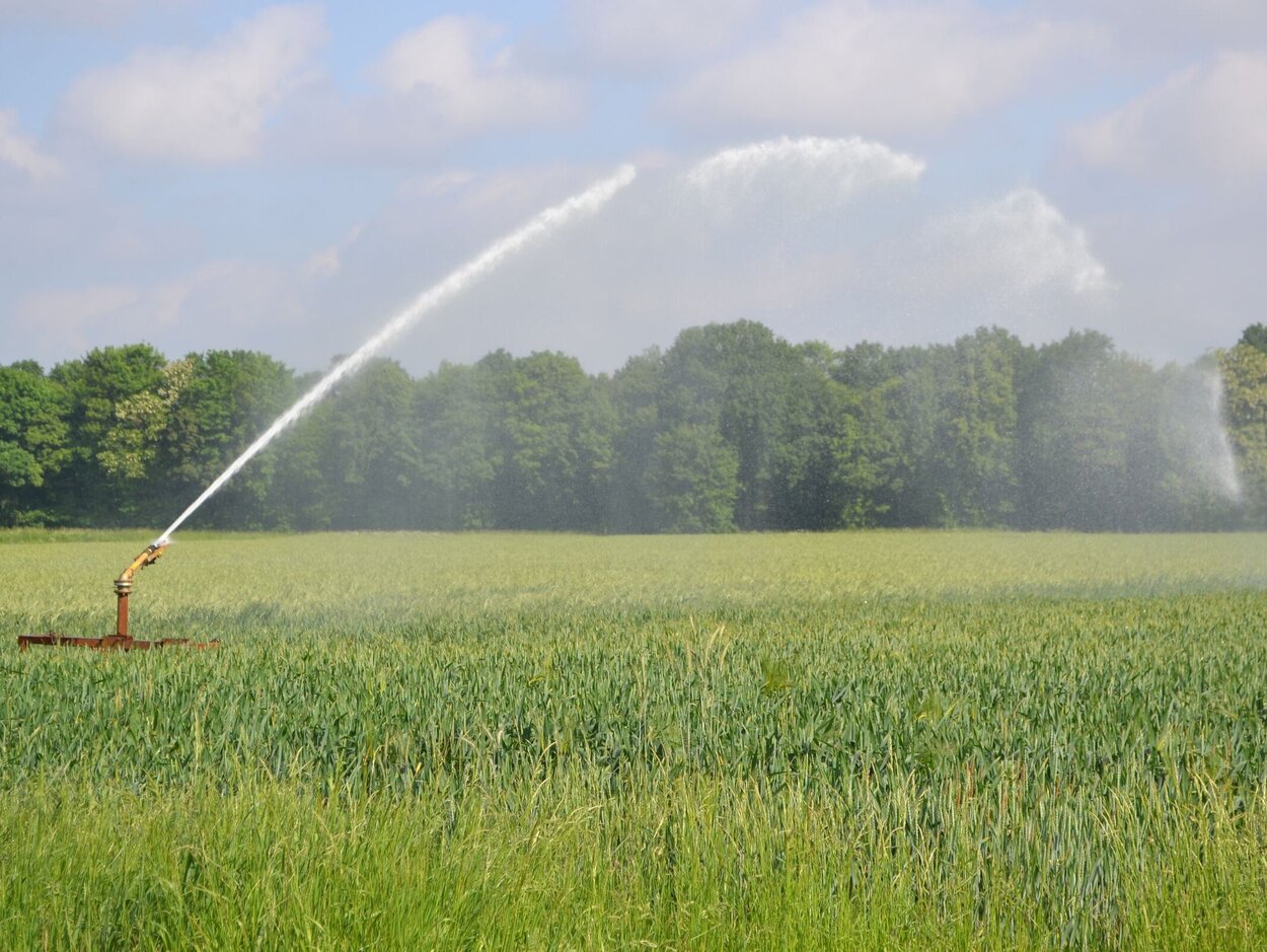 Ein Feld wird über eine Bewässerungsanlage mit Wasser versorgt