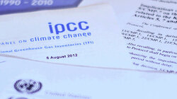 Impact of Wood Utilization on Environment and Climate